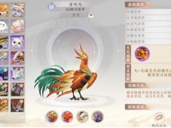 天龙八部2强力宠物有哪些？强力宠物携带建议