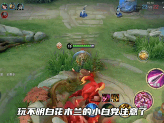 王者荣耀花木兰装备推荐-花木兰连招技巧