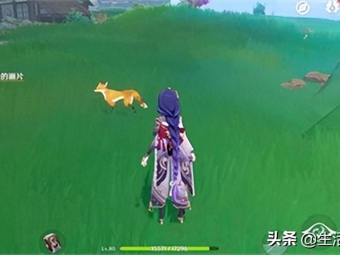 原神稻妻动物有哪些？稻妻动物拍照攻略