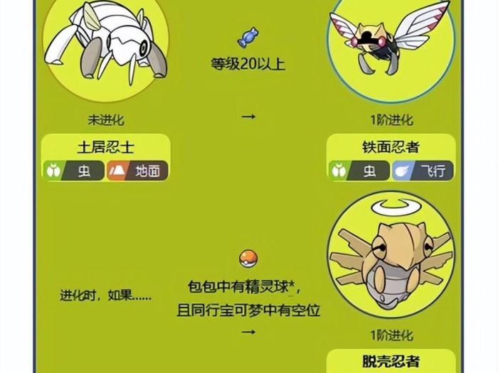 脱壳忍者怎么进化？进化路线以及条件介绍