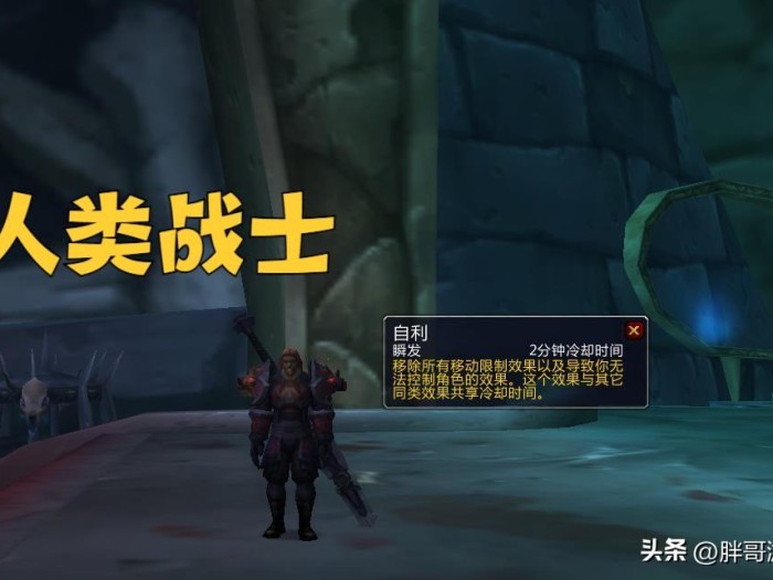 魔兽世界盗贼种族推荐-十大职业最强种族搭配介绍