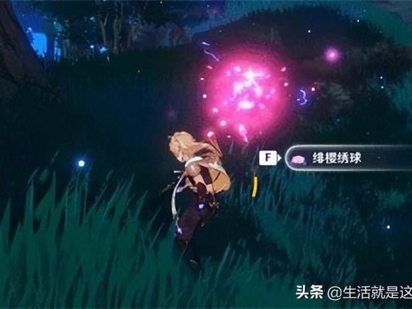 绯樱绣球采集路线图-绯樱绣球采集位置