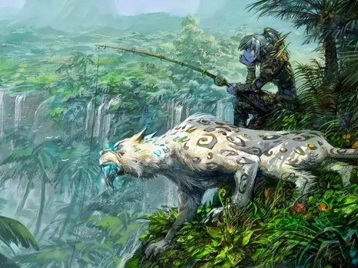 猎人宠物技能怎么学？从TBC到WLK职业变化详解