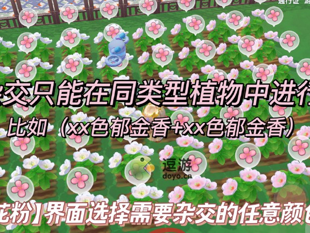 摩尔庄园花卉授粉攻略-花卉怎么授粉
