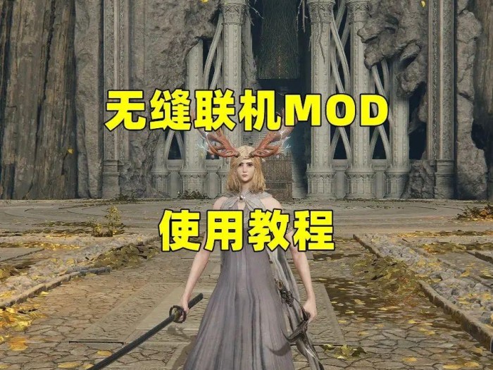艾尔登法环联机教程-无缝联机MOD使用图文攻略