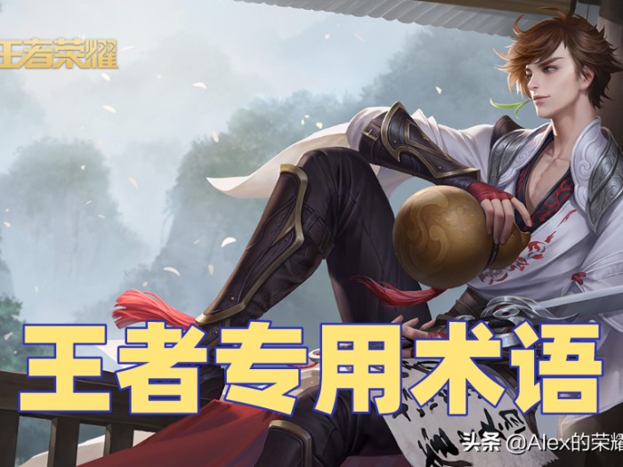 王者里面的adc是什么意思？最常用的20条游戏专业术语盘点