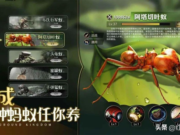 小小蚁国新人开荒攻略-搬砖开荒流程介绍