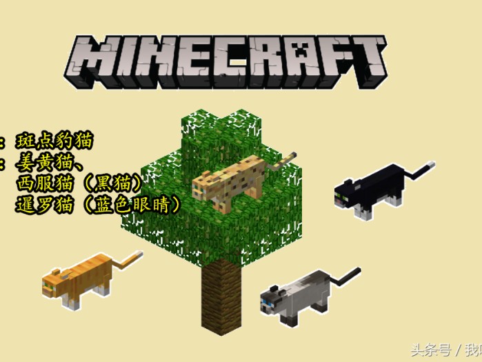 我的世界豹猫怎么驯服？驯服豹猫方法技巧详解