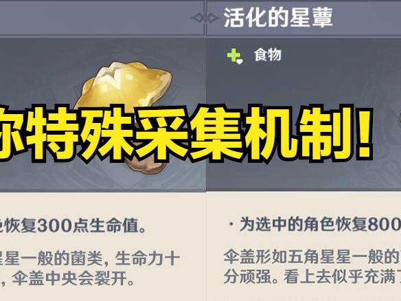 原神草神突破材料孢子怎么获得？须弥采集机制详解