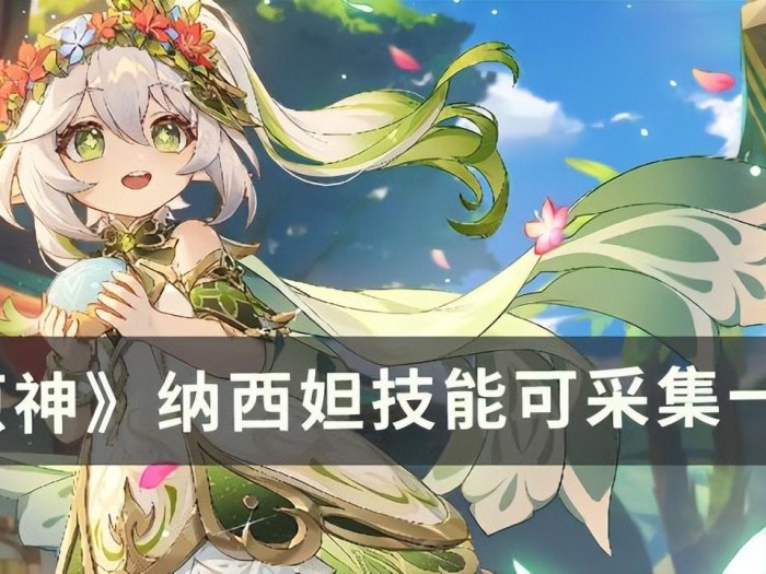 原神马尾在哪采集？纳西妲技能可采集一览