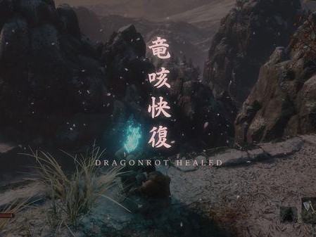 只狼冥助有什么用？冥助系统玩法介绍