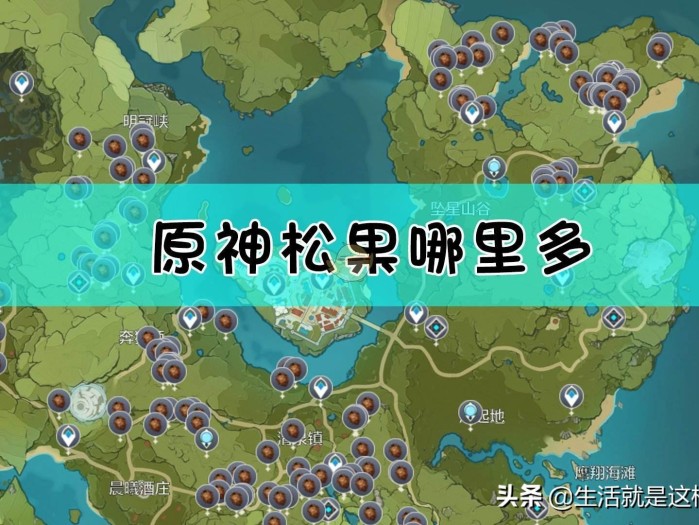 原神松果在哪采集？松果收集地点图文介绍
