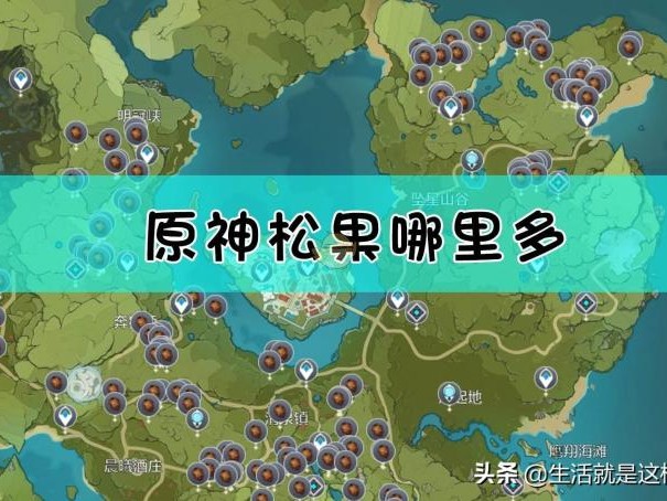 原神松果收集路线-原神松果在哪里获得