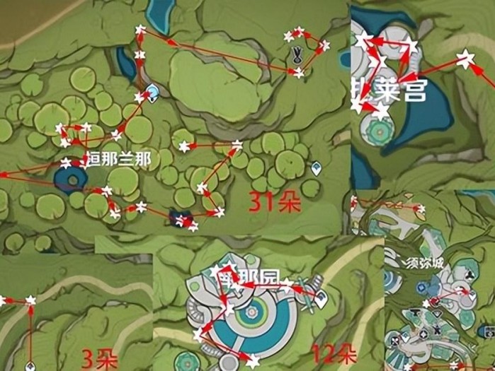 妮露突破材料帕蒂沙兰位置-帕蒂沙兰采集路线图一览