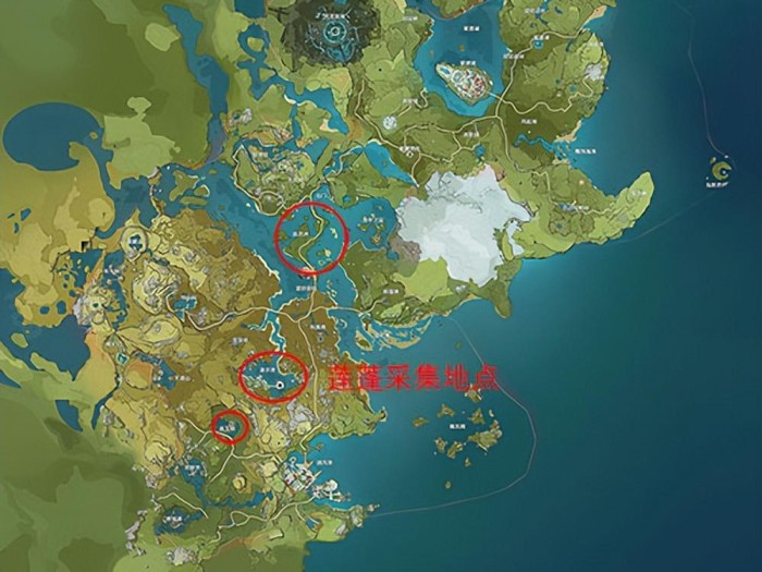 原神莲蓬在哪采集？莲蓬采集位置一览