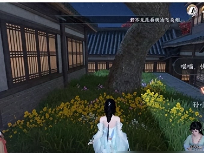 逆水寒手游抢猫任务怎么做？抢猫任务流程一览