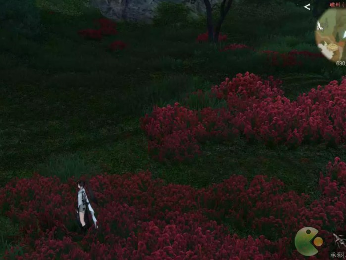 逆水寒手游平天门怎么进？进入方法介绍