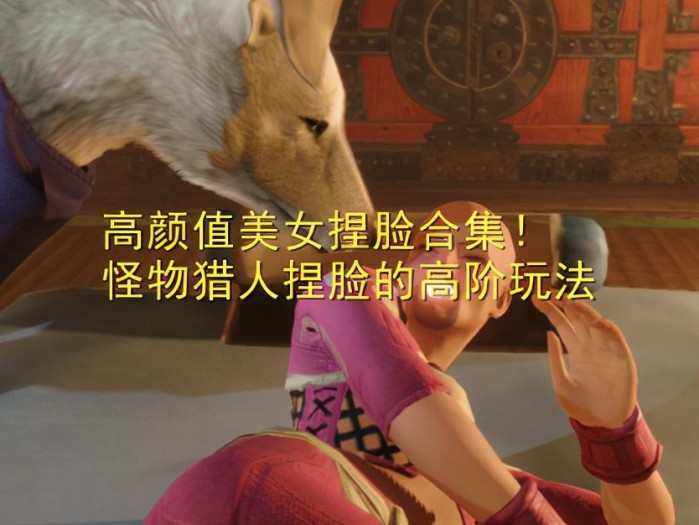 怪物猎人崛起捏脸数据女-高颜值美女捏脸合集