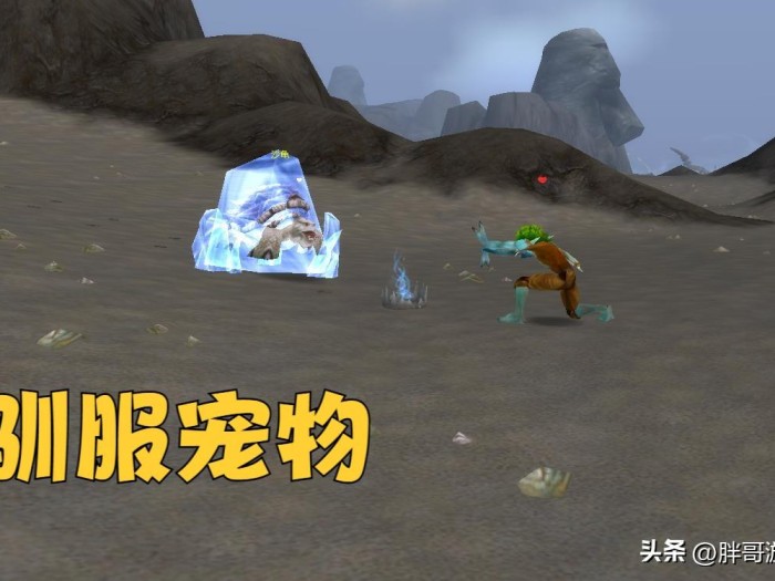 魔兽世界宠物大全-猎人宠物机制详解