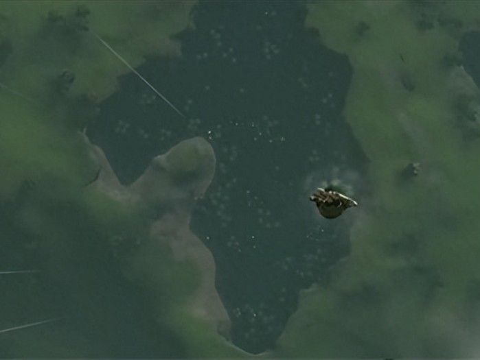 塞尔达传说王国之泪游戏上空岛攻略大全-怎样从上空岛下来