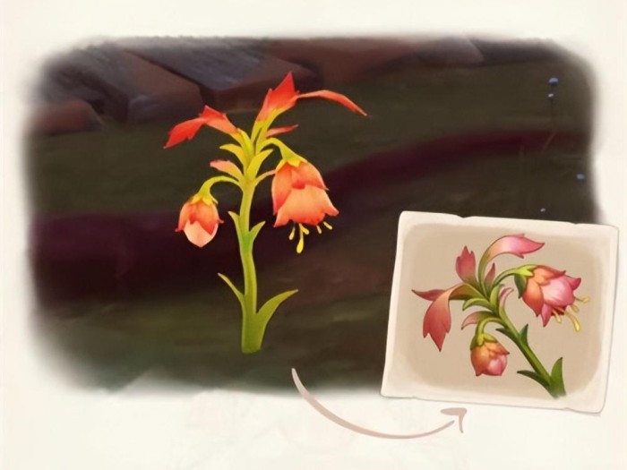 原神悼灵花多久刷新一次？悼灵花刷新时间介绍