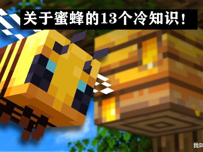 我的世界蜜蜂怎么养殖的？蜜蜂养殖指南