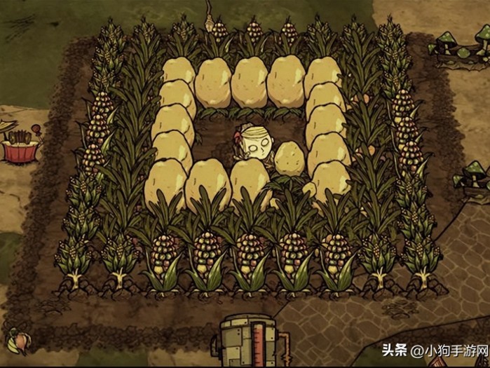 饥荒攻略新手入门-联机版新手入门教程