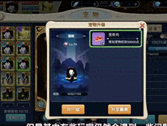 魔力宝贝手游平民怎么玩-魔力宝贝手游平民最佳玩法技巧一览