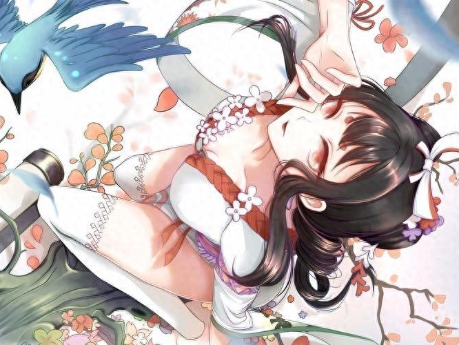 阴阳师手游新手入门攻略-新手如何快速入门