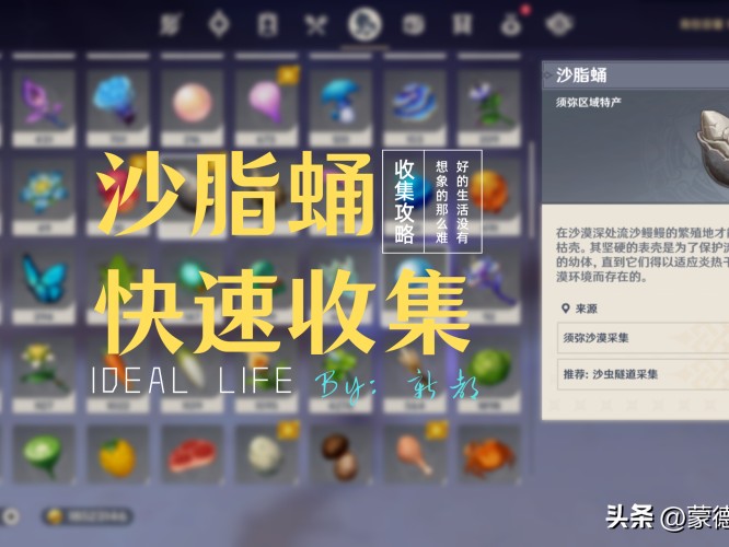 沙脂蛹采集地点在哪里？沙脂蛹快速收集攻略
