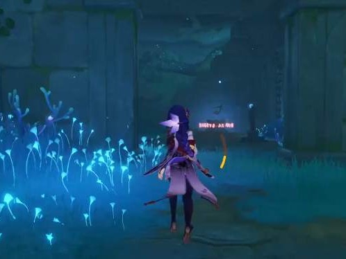 原神池中宅邸继电石怎么放？池中宅邸解密顺序一览