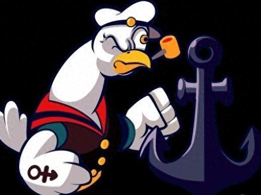 小鸡舰队出击刺客初级攻略-刺客怎样做到平A狂暴流